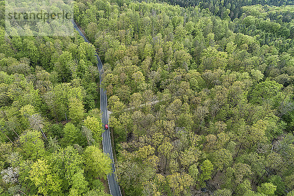 Luftaufnahme der Straße durch den Wald  Frühling  Steigerwald  Franken  Bayern  Deutschland