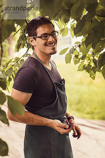 Porträt eines lächelnden Mannes bei der Kirschenernte im Obstgarten