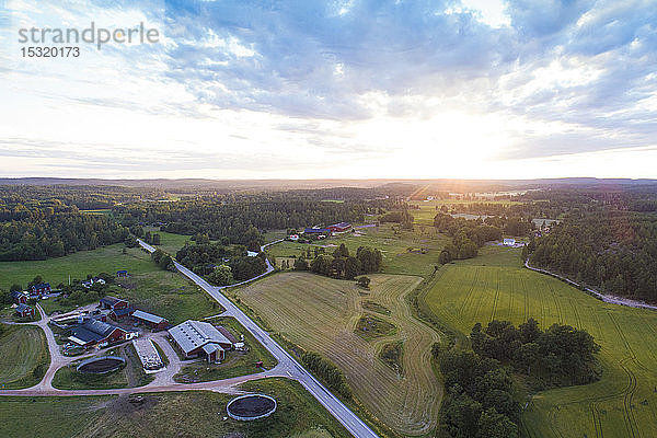 Luftaufnahme von Feldern und Straße vor Sonnenuntergang im Sommer  Vaestervik  Schweden