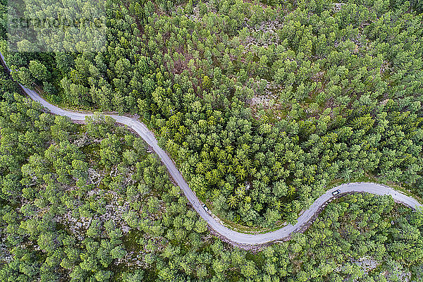 Eine Straße im Wald in der Graensoe in Westschweden
