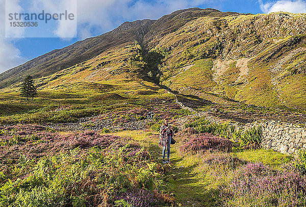 Europa  Großbritannien  Schottland  Highlands und Lochaber Geopark  Glen Coe Tal  Ort der Nachbildung von Hagrids Hütte (Harry Potter Film) und der Dreharbeiten zum Film Skyfall (James Bond)