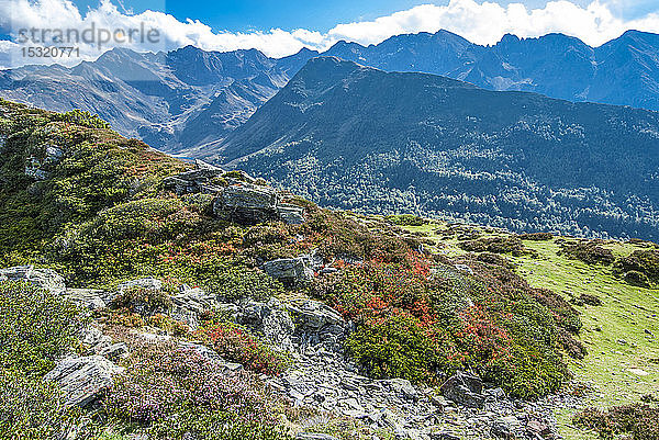 Frankreich  Pyrenäen-Nationalpark  Hautes-Pyrenees  Berg Hautacam  Heidelbeeren und Heidekraut im Herbst