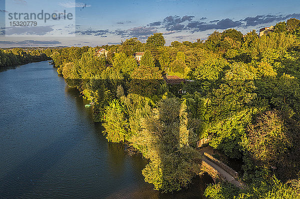 Frankreich  Tarn  Albi  üppiges Gebiet des Pioulet am Ufer des Flusses Tarn