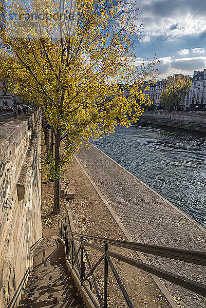 Frankreich  Paris  1. Arrondissement  Ile de la Cite  Uferpromenade am Ufer der Seine unterhalb des Quai des Orfevres