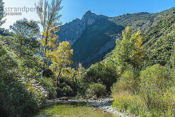 Spanien  Autonome Gemeinschaft Aragonien  Naturpark Sierra y CaÃ±ones de Guara  Schlucht des Flusses Vero  Schlucht von la Fuente (UNESCO-Welterbe fÃ?r die Felszeichnungen)