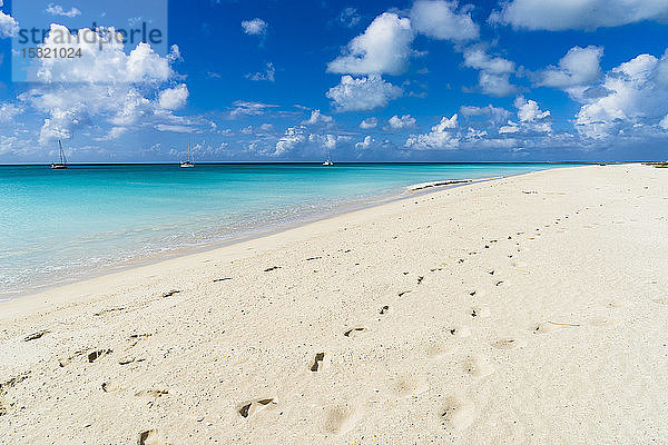Auf der Leeseite erstreckt sich der menschenleere Strand über etwa 17 Meilen und ist der längste Strand der karibischen Inseln Barbuda  Antigua und Barbuda  Westindien