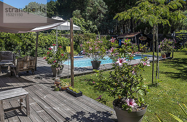 Frankreich  Bucht von Arcachon  Schwimmbad in einem privaten Garten