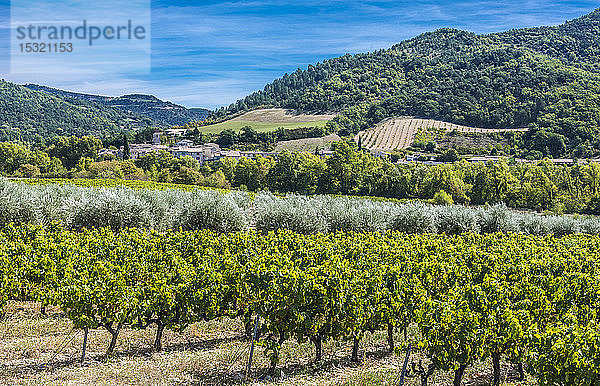 Frankreich  Provence  Drome  Venterol  das Dorf  Weinberge und Olivenbäume