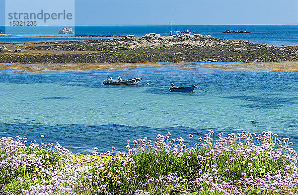 Frankreich  Bretagne  Ile de Sein  Boote und rosa Seeschwalben (Armeria maritima)