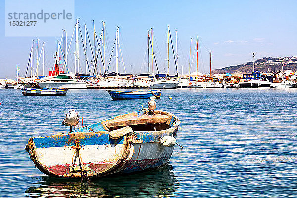 Seemöwen auf einem Boot im Hafen von Procida  Golf von Neapel  Region Kampanien  Italien