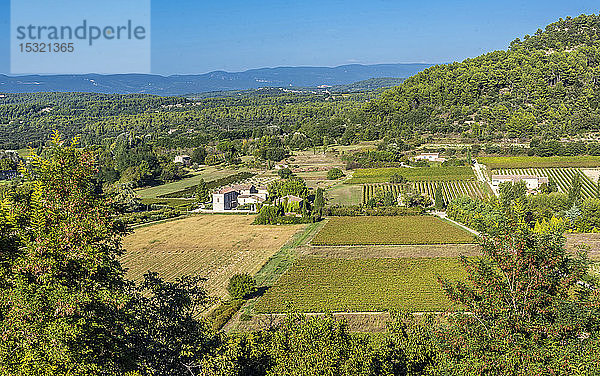 Frankreich  Luberon  Vaucluse  die Landschaft um Menerbes (schönstes Dorf Frankreichs)