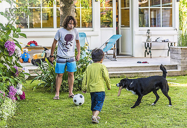 Zwei Jungen im Alter von 5 und 13 Jahren spielen mit einem Ball im Garten mit ihrem Hund