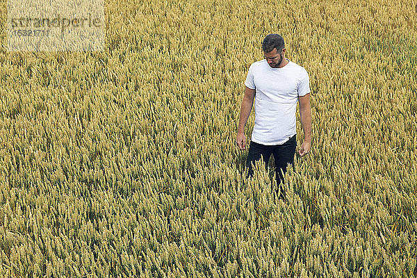 Junger Mann in einem Weizenfeld