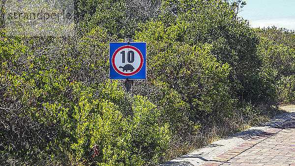 Südafrika  Garden Route  Plettenberg  Schild zur Geschwindigkeitsreduzierung zum Schutz der Schildkröten