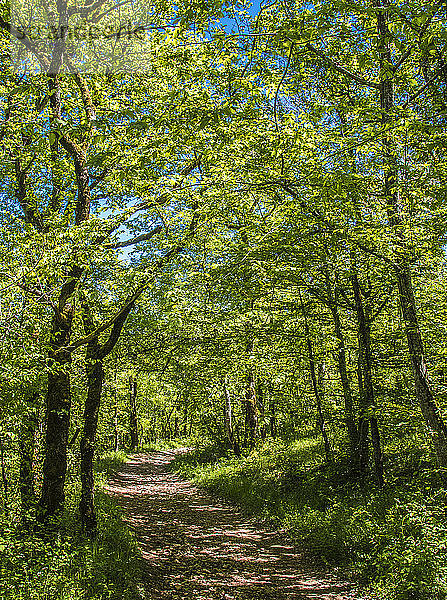 Frankreich  Regionaler Naturpark Causses du Quercy  Lot  Sensibler Naturraum  Alzou-Tal  Wanderweg Moulin du Saut (Jakobsweg)