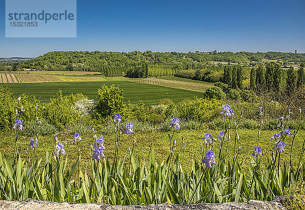 Frankreich  Gironde  Landschaft Entre-deux-Mers