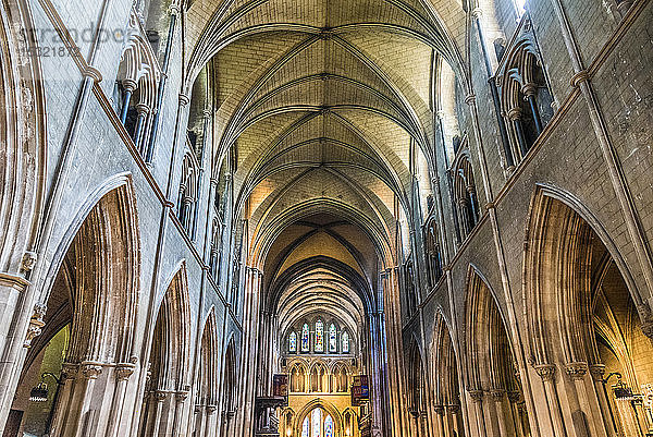 Republik Irland  Dublin  Anglikanische Kathedrale Saint Patrick's  Kirchenschiff