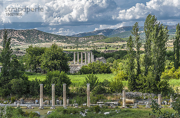 Türkei  Aphrodisias  archäologische römische Stätte (3. - 2. Jahrhundert v. Chr.) (UNESCO-Welterbe)