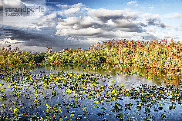 USA. Florida. Everglades-Nationalpark. Anhinga-Pfad. Blick auf die Sümpfe.