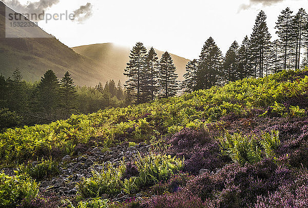 Europa  Großbritannien  Schottland  Highlands und Lochaber Geopark  Glen Coe Tal  Ort der Nachbildung von Hagrids Hütte (Harry Potter Film) und der Dreharbeiten zum Skyfall Film (James Bond)