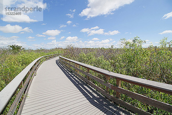 USA. Florida. Everglades-Nationalpark. Anhinga-Pfad. Wandersteg in der Vegetation.