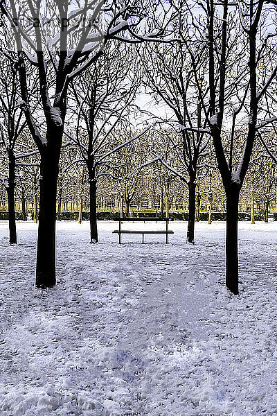 Europa  Frankreich  Ile de France  Paris  Garten des Palais Royal unter dem Schnee