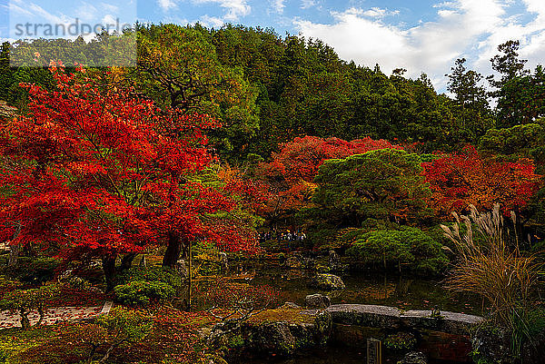 Der Silberne Pavillon-Tempel und seine wunderschönen orange-roten Farben  Bezirk Higashiyama  Kyoto  Kansai  Honshu  Japan