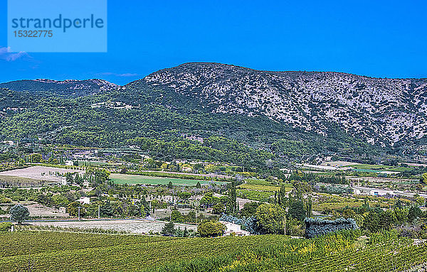 Frankreich  Provence  Vaucluse  ländliche Landschaft bei Bedoin