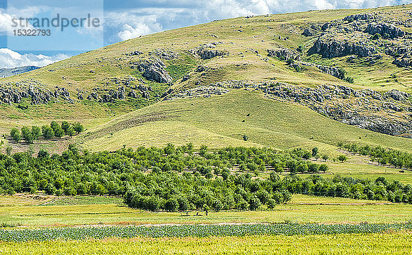 Türkei  Landschaft in Zentralanatolien