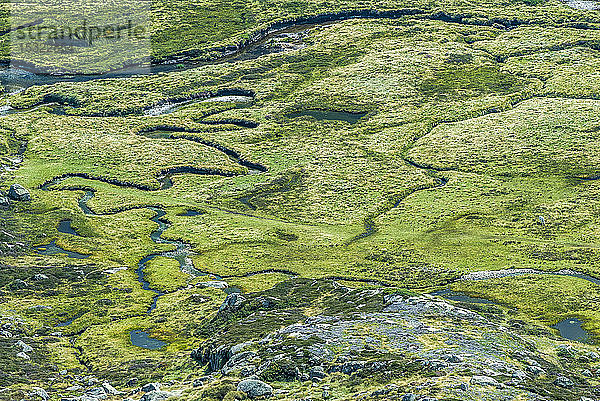 Frankreich  Regionaler Naturpark Pyrenäen Ariegeoises  Bach von Bassies Mäander  GR 10