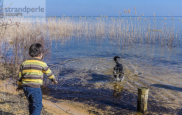 Frankreich  Bassin d'Arcachon  kleiner Junge spielt mit einem Hund am See von Cazaux (Modellfreigabe DSch_003)