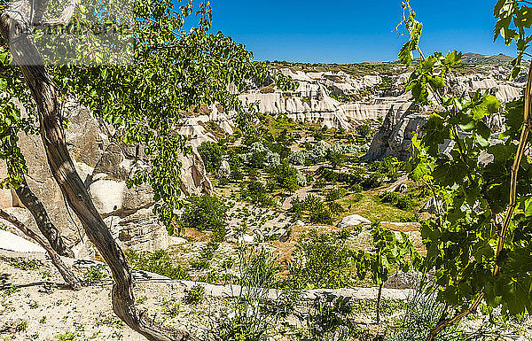 Türkei  Goreme-Nationalpark und Felsenstätten von Kappadokien  Blick von der Terrasse eines Troglodytenhauses (UNESCO-Welterbe)