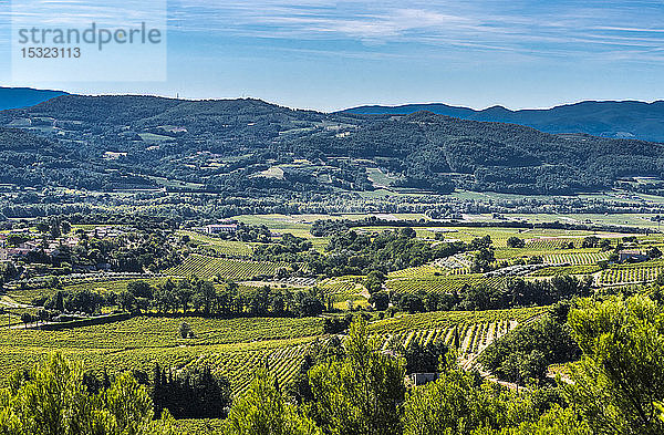 Frankreich  Drome  Frankreich  Drome  Vinsobres  Weinberge in Vinsobres