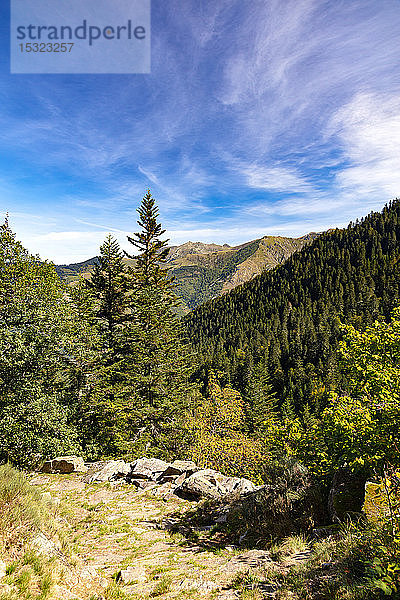Wandern im Wald  Couserans-Pyrenäen  vallee d'Ustou  Ariege  Okzitanien  Frankreich