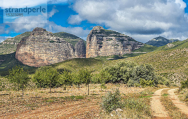 Spanien  Autonome Gemeinschaft Aragaon  Naturpark Sierra y CaÃ±ones de Guara  Provinz Huesca  MandelbÃ?ume entlang der StraÃŸe nach la Pena de Arman