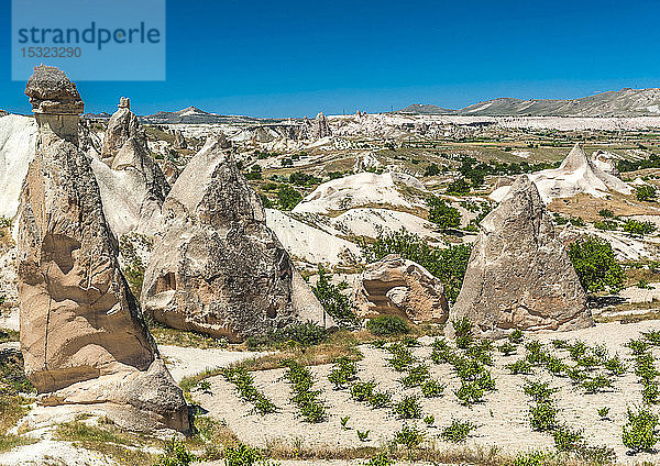 Türkei  Goreme-Nationalpark und die Felsenstätten von Kappadokien  Hoodoos in Entwicklung und Weinberge im Pasabag-Tal (UNESCO-Welterbe)