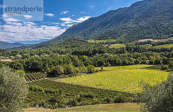 Frankreich  Drome  Regionaler Naturpark der provenzalischen Baronnies  ländliche Landschaft bei Pierrelongue