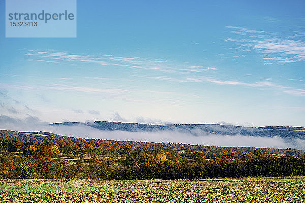 Europa  Frankreich  Bourgogne  Cote d'Or  Epoisses  Herbst  Blick auf die Landschaft mit Morgennebel