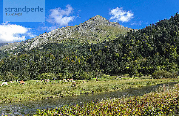 Frankreich  Nationalpark Pyrenäen  Okzitanien  Val d'Azun  See von Estaing