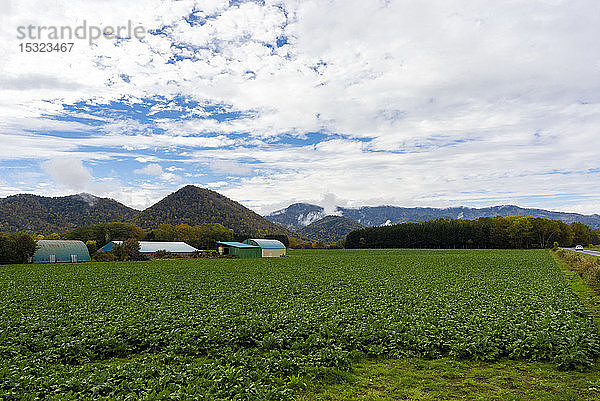 Spaziergang entlang des Kussharo-Sees  Hokkaido  Japan