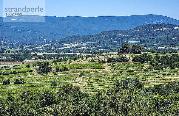 Frankreich  Vaucluse  Mt. Ventoux mit Blick auf die Weinbauebenen um Roussillon