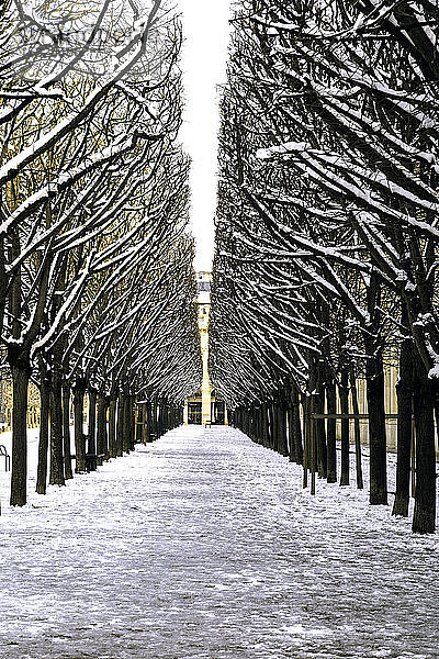 Europa  Frankreich  Ile de France  Paris  Garten des Palais Royal  schneebedeckter Weg zwischen Abschlägen