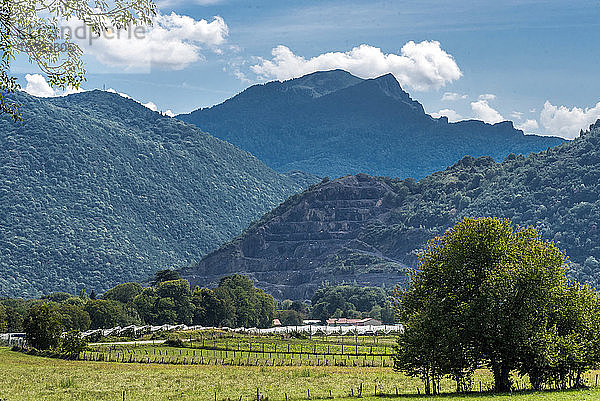 Frankreich  Piemont der Pyrenäen  Haute Garonne  Saint Bertrand de Comminges  Apfelbäume und Berge im Hintergrund
