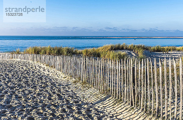 Frankreich  Neu-Aquitanien  Bucht von Arcachon  Strand von Petit Nice  Sandzäune (ganivelle) gegen Erosion