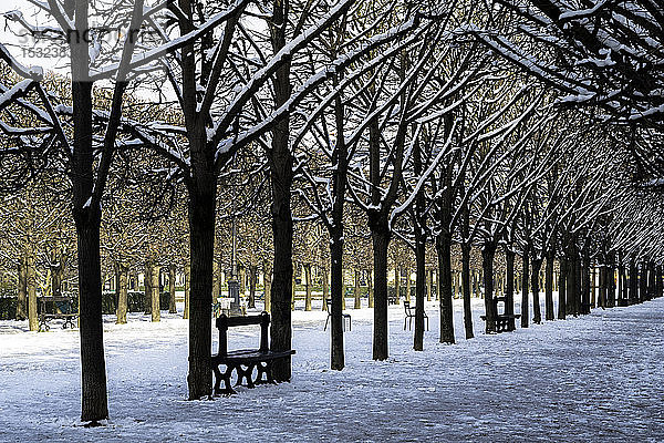Europa  Frankreich  Ile de France  Paris  Garten des Palais Royal unter dem Schnee