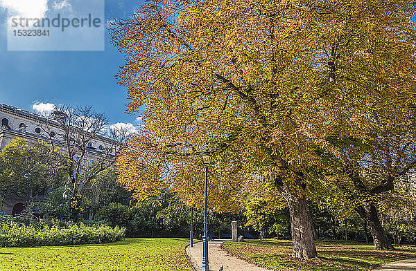 Frankreich  Paris  4. Arrondissement  Stadtpark des Saint-Jacques-Turms (Tour Saint-Jacques) im Herbst