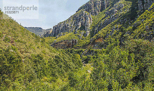 Südafrika  Provinz Westkap  üppige Vegetation in einer Schlucht der Kleinen Karoo