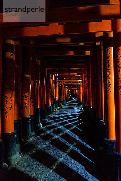 Fushimi Inari taisha  Kyoto  Kansai  Honshu  Japan. Tori.