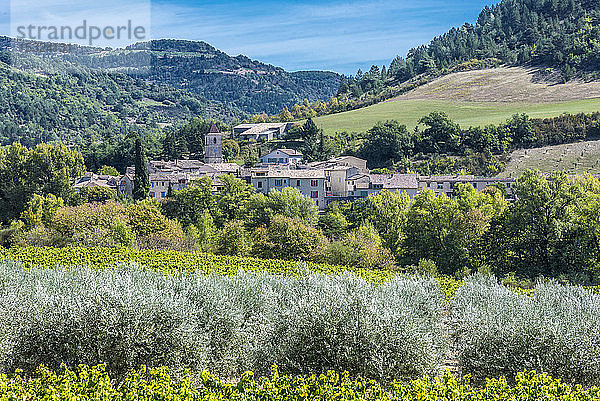 Frankreich  Provence  Drome  Venterol  das Dorf  Weinberge und Olivenbäume