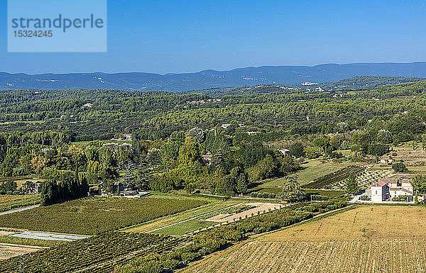 Frankreich  Luberon  Vaucluse  die Ebene des Comtat Venaissin und der Berg Mont Ventoux von Menerbes aus gesehen (schönstes Dorf Frankreichs)